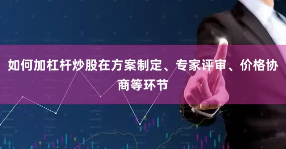 如何加杠杆炒股在方案制定、专家评审、价格协商等环节